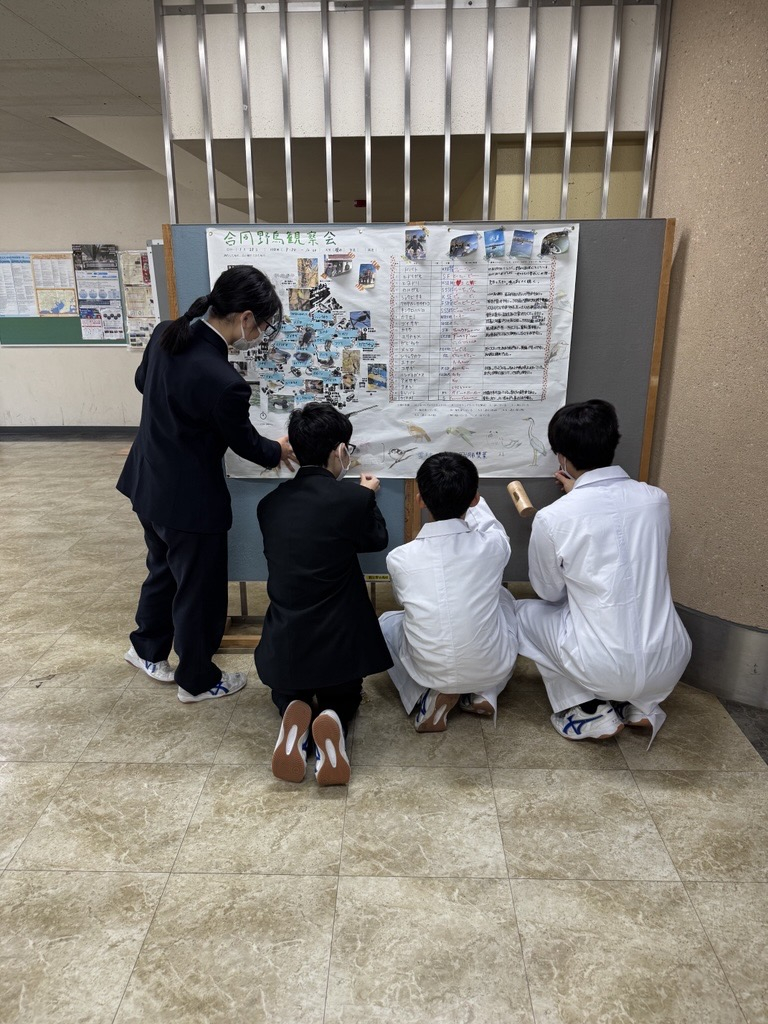 Image - 2026-04-08T195645.460